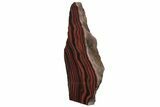 Free-Standing Polished Tiger Iron Stromatolite - Ga #234607-1